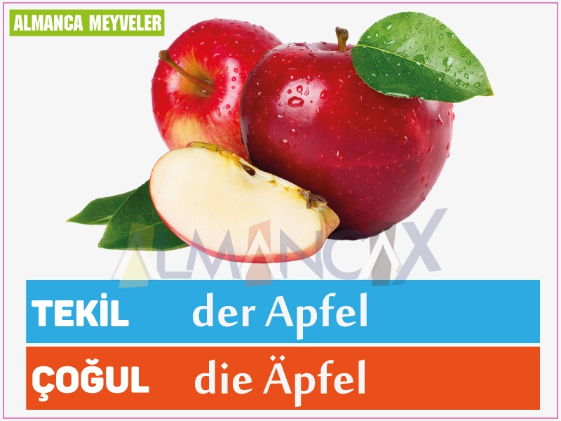 Almanca Elma Meyvesi