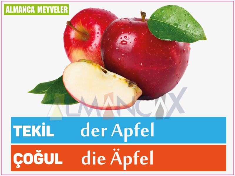 Fructe germane 1 Fruct de mere german