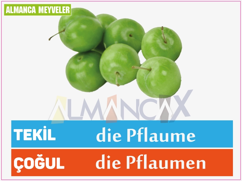 Fructe germane 17 Fruct de prune german