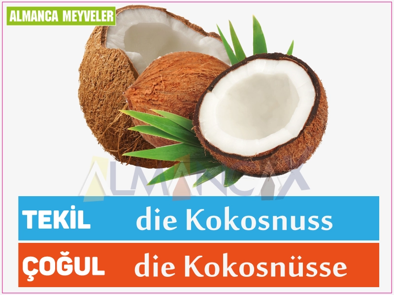 Fructe germane 20 Fruct de nucă de cocos german