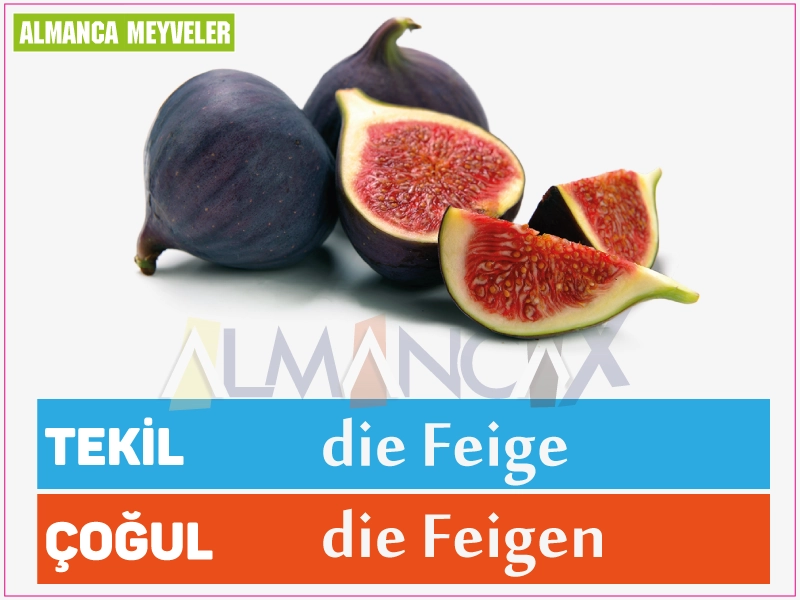 Niemiecki owoc figi