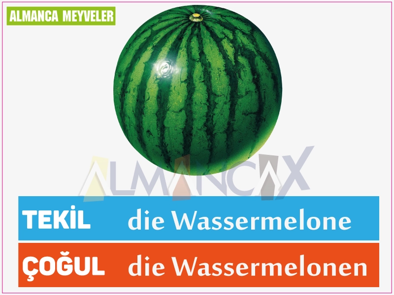 Fruta melancia alemã