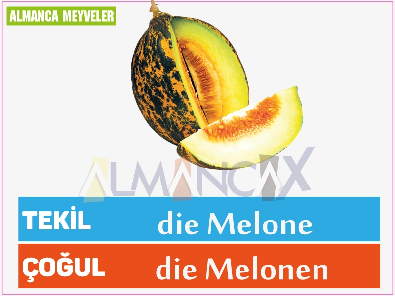 Vācu melones augļi