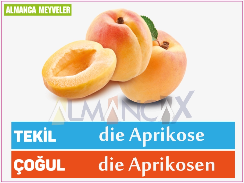 Vācu aprikožu augļi