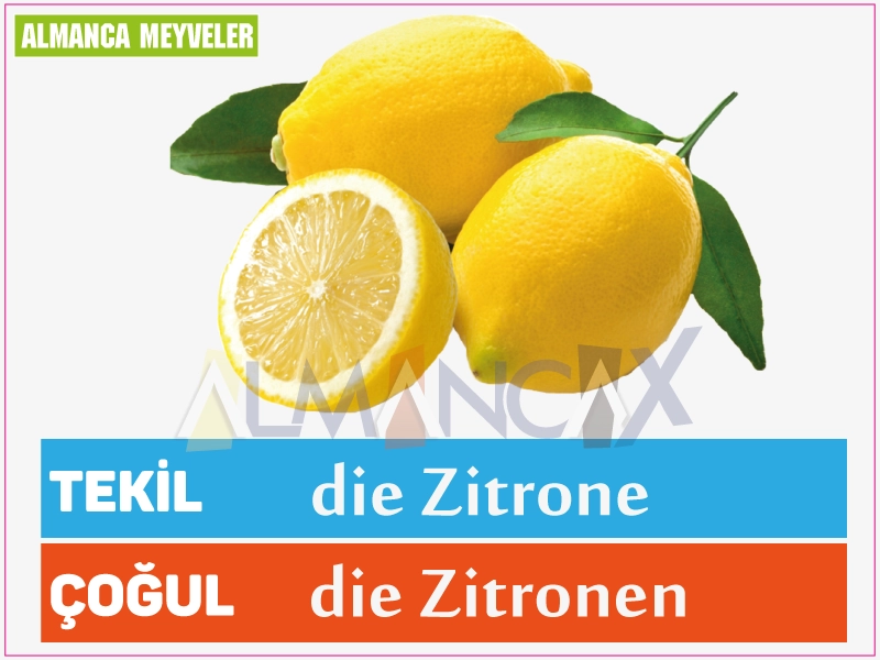 Almanca Limon Meyvesi