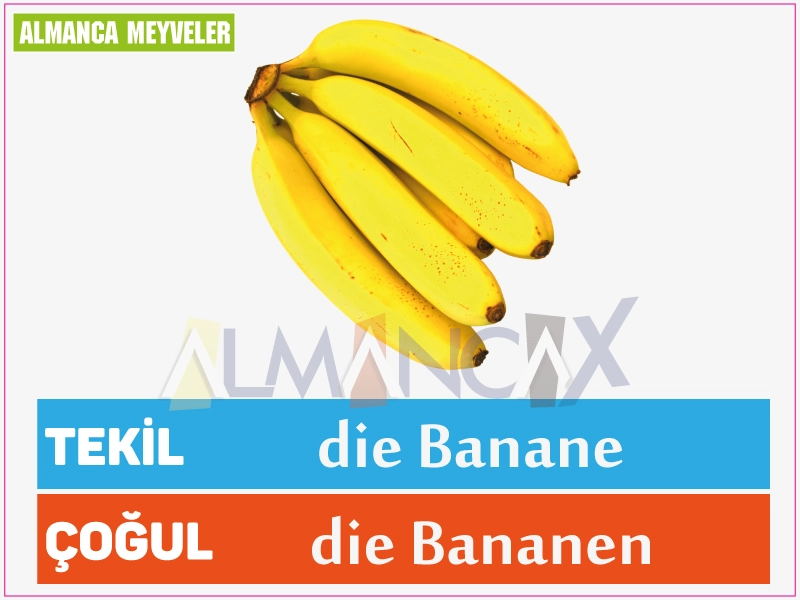 Fructe germane 7 Fructe de banane germane