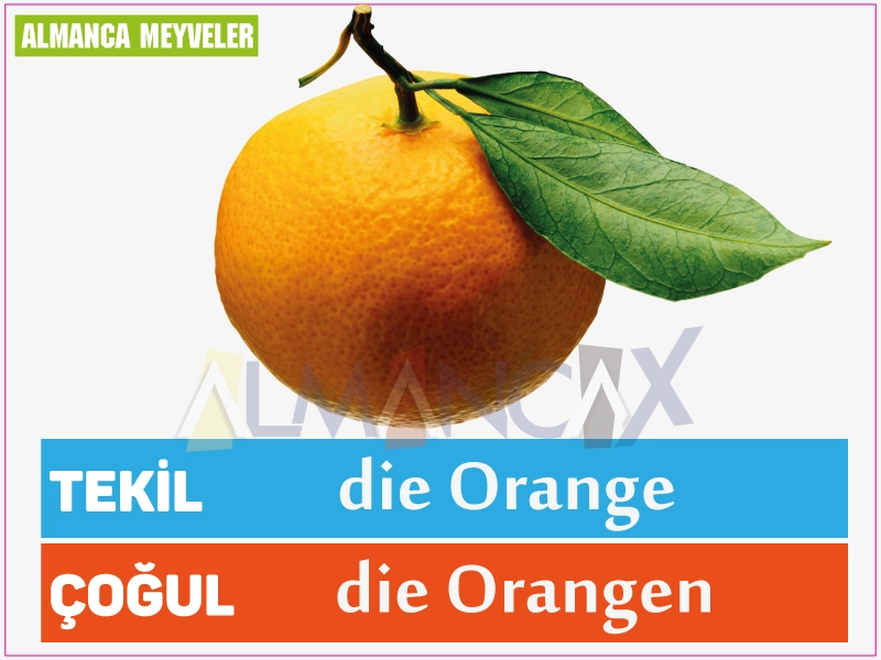 Fructe germane 3 Fructe portocalii germane