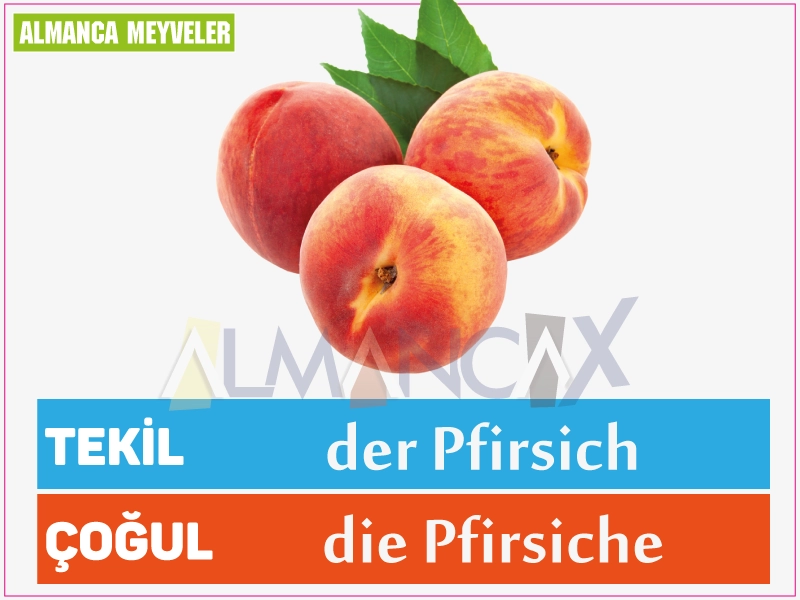 독일 복숭아 열매