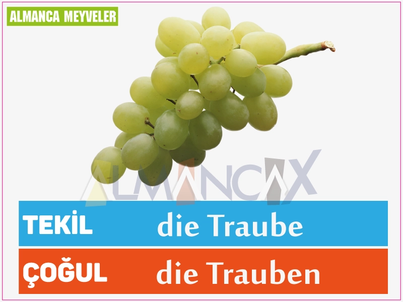 Vācu vīnogu augļi