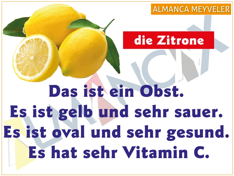 Alman dilində limon haqqında cümlələr