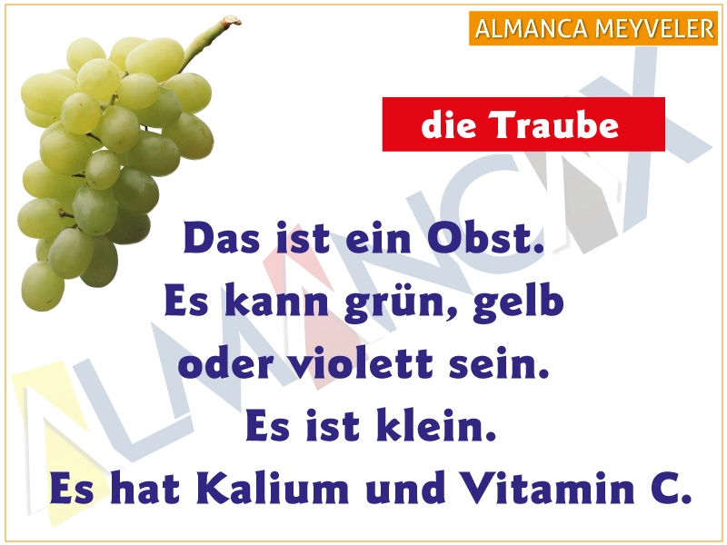 Fructe germane 24 Exemple de coduri despre fructe în limba germană
