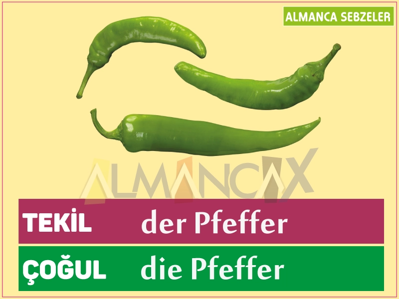 Legumes Alemães - Pimenta