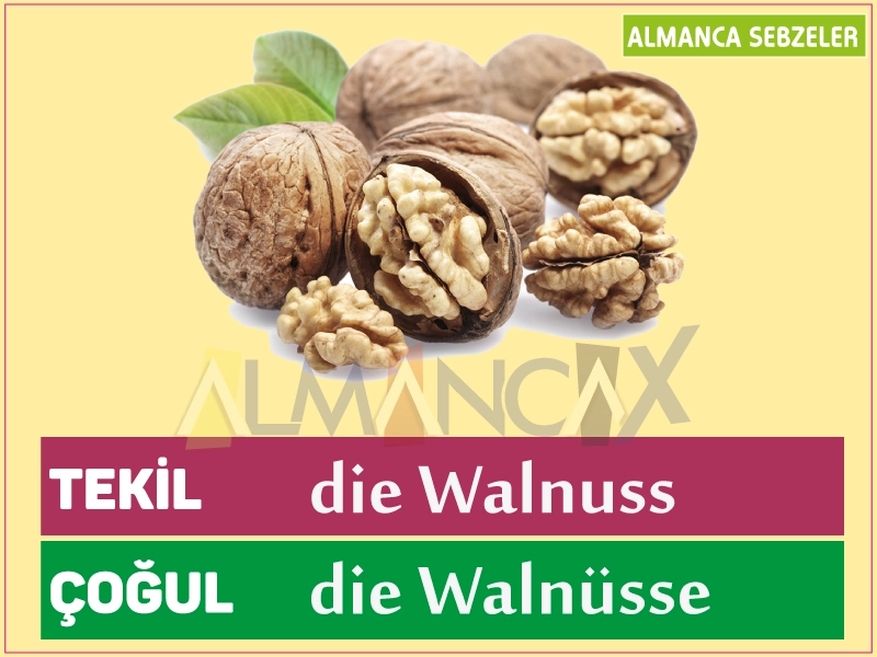 Duitse noten - walnoot