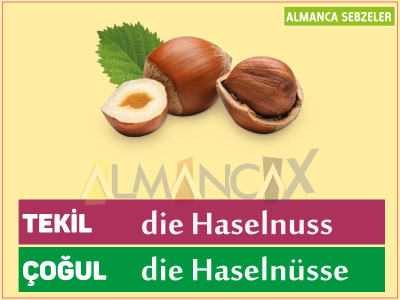 Duitse noten - hazelnoot