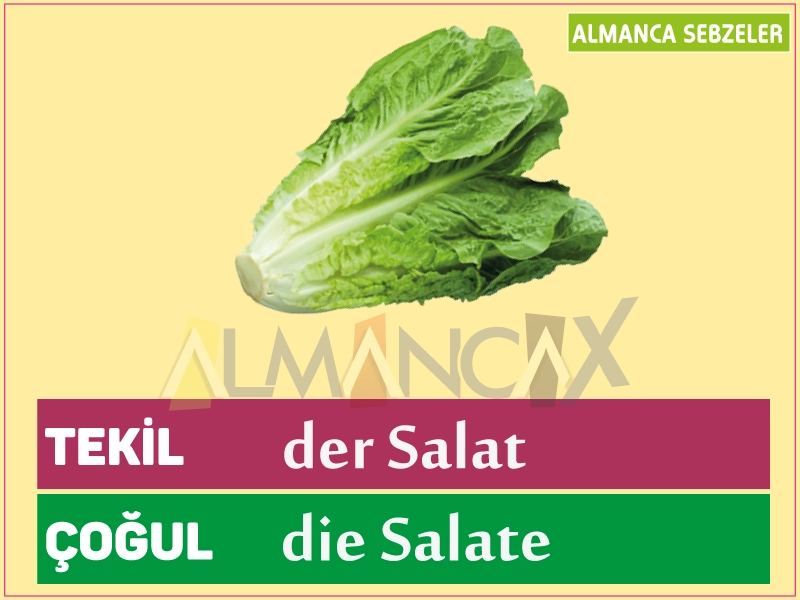 Legumes Alemães - Alface