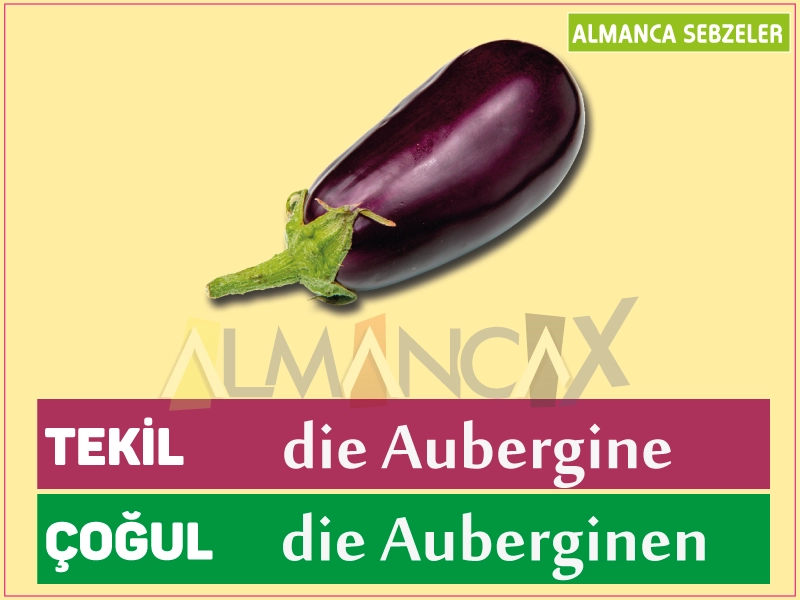 Duitse groenten - aubergine