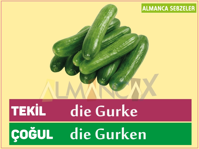 Deutsches Gemüse - Gurke