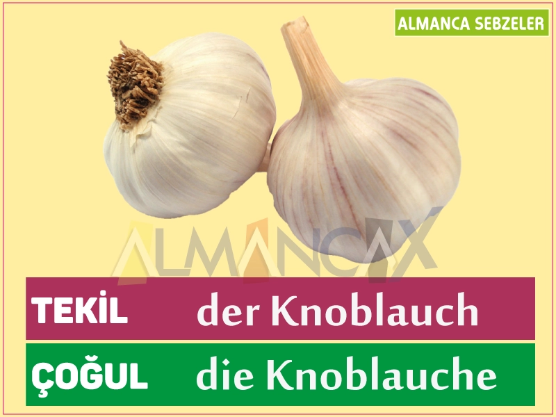 Legumes Alemães - Alho