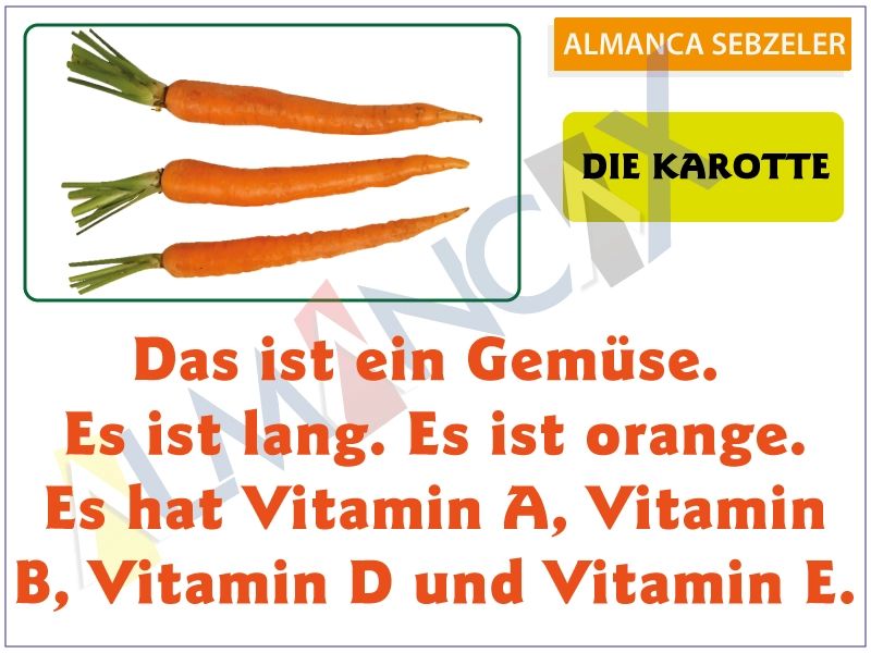 Informações sobre cenoura alemã