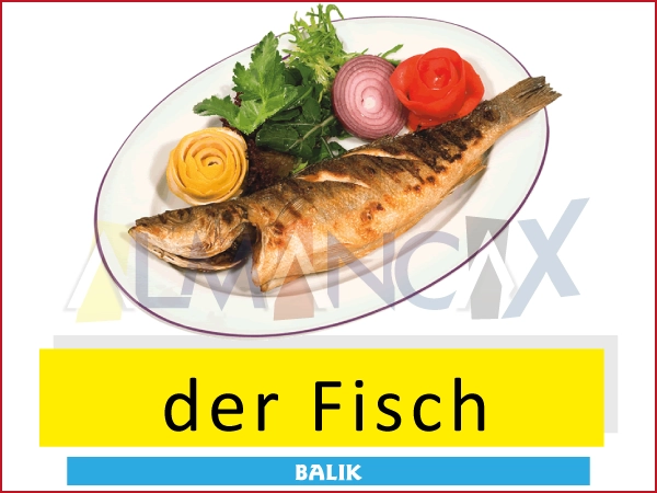Almanca yiyecek ve içecekler - der Fisch - Balık