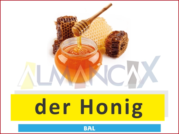 German Khoom noj khoom haus German haus 4 Khoom noj khoom haus German thiab dej qab zib - der Honig - Zib ntab