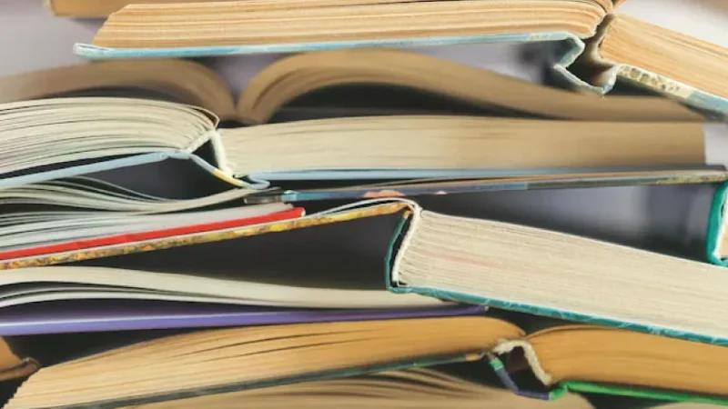 10. Sınıf Almanca Çalışma Kitabı Cevapları