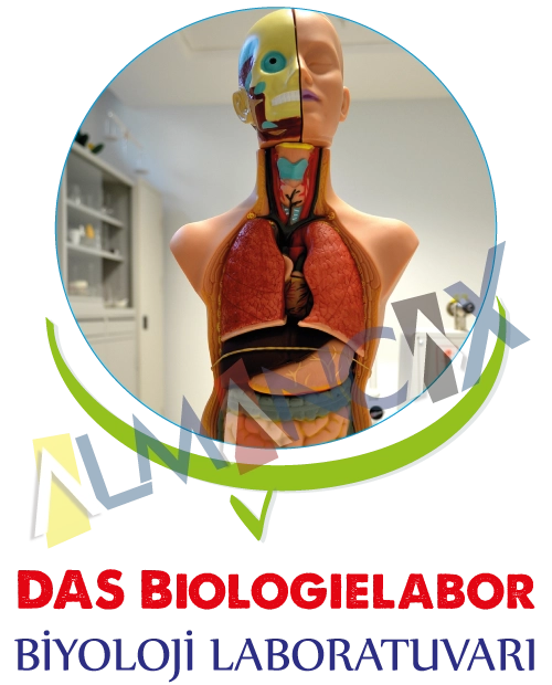 Laboratoriu di biologia tedesca
