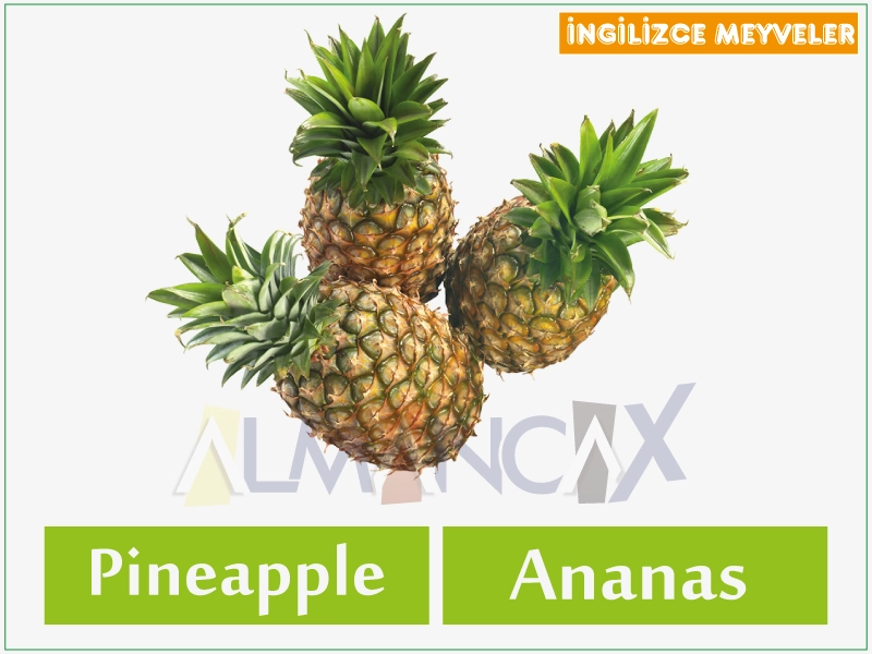 ingilizce meyveler - ingilizce ananas