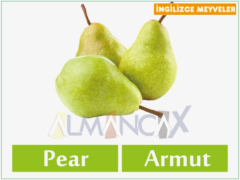 English Fruits 20 English cov txiv hmab txiv ntoo - pear Hmong