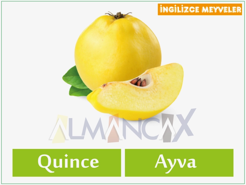 English Fruits 19 English cov txiv hmab txiv ntoo - Hmong quince