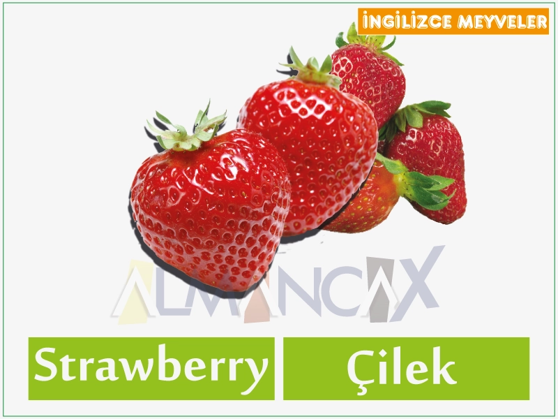 English Fruits 17 English cov txiv hmab txiv ntoo- Askiv cov txiv pos nphuab