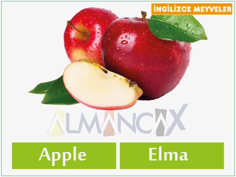 English Fruits 16 English cov txiv hmab txiv ntoo - Hmong Askiv