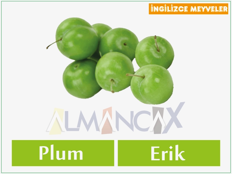 English Fruits 15 English cov txiv hmab txiv ntoo - Hmong plums