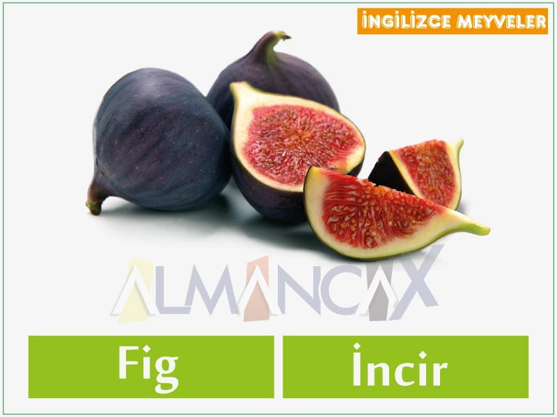 English Fruits 8 English cov txiv hmab txiv ntoo - Askiv figs
