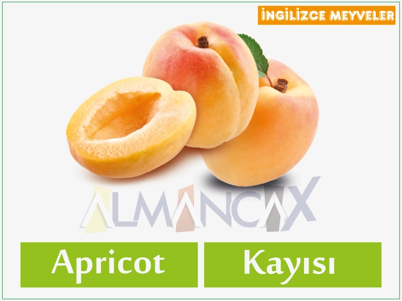 'ya'yan itacen Ingilishi - apricot na Turanci