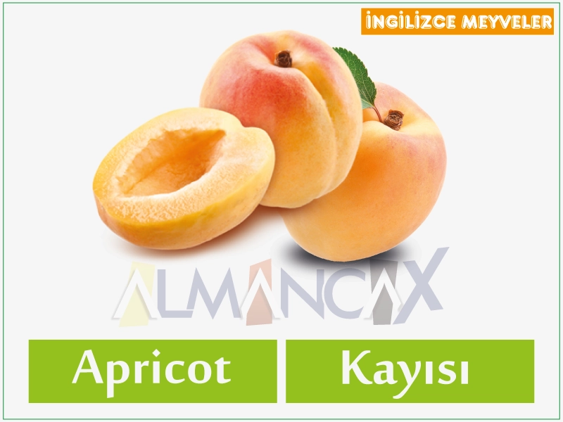 ingilizce meyveler - ingilizce kayısı