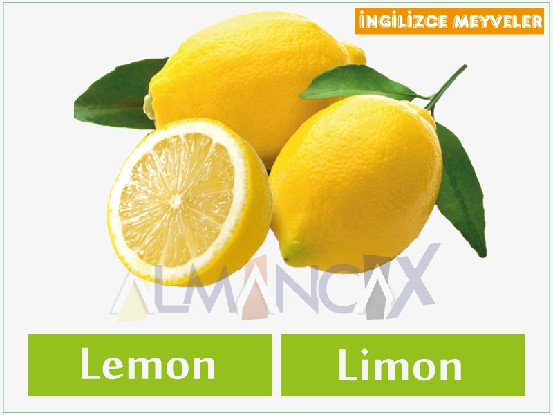 English Fruits 7 English nplais txiv ntoo -vaj txiv qaub