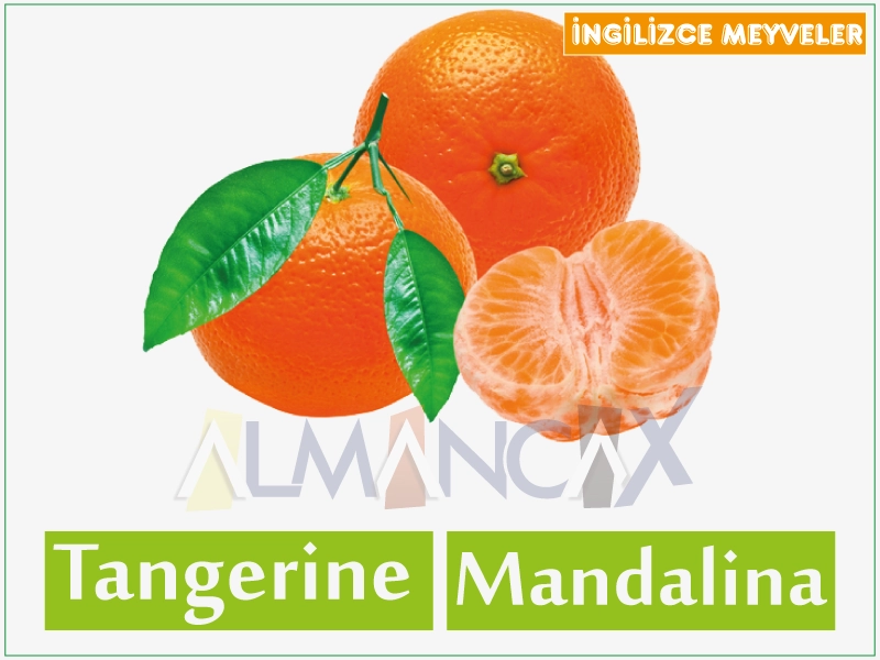 ໝາກ ໄມ້ພາສາອັງກິດ - tangerine ອັງກິດ