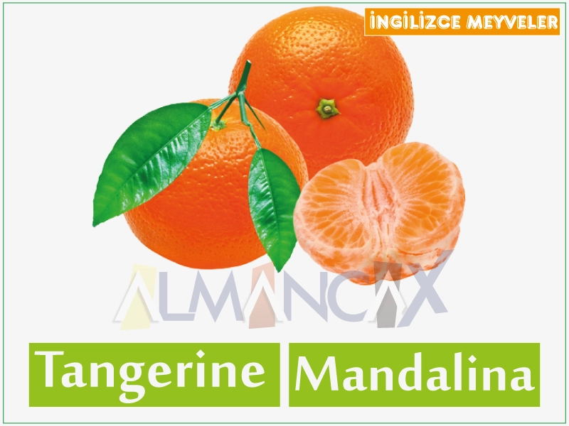English Fruits 6 English cov txiv hmab txiv ntoo - Askiv tangerines