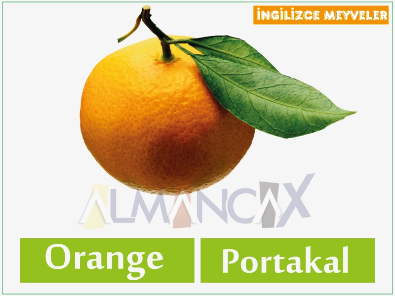 English Fruits 4 English cov txiv hmab txiv ntoo - Askiv lub txiv kab ntxwv
