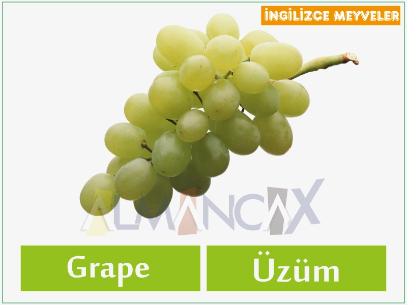 English Fruits 2 English cov txiv hmab txiv ntoo - Askiv txiv hmab