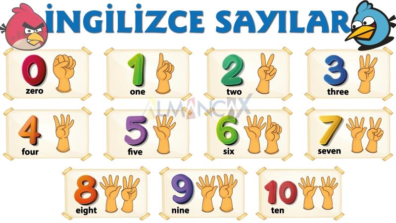 ingilizce sayılar