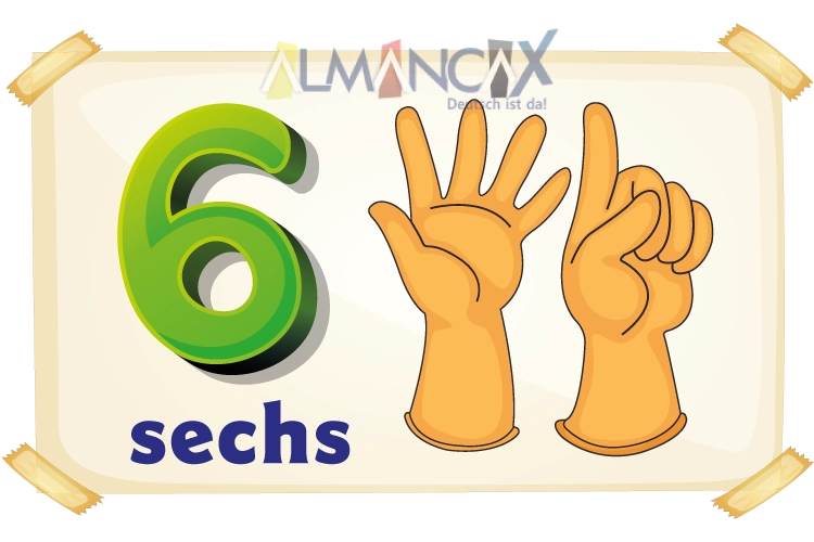 German Numbers: 6 SECHS
