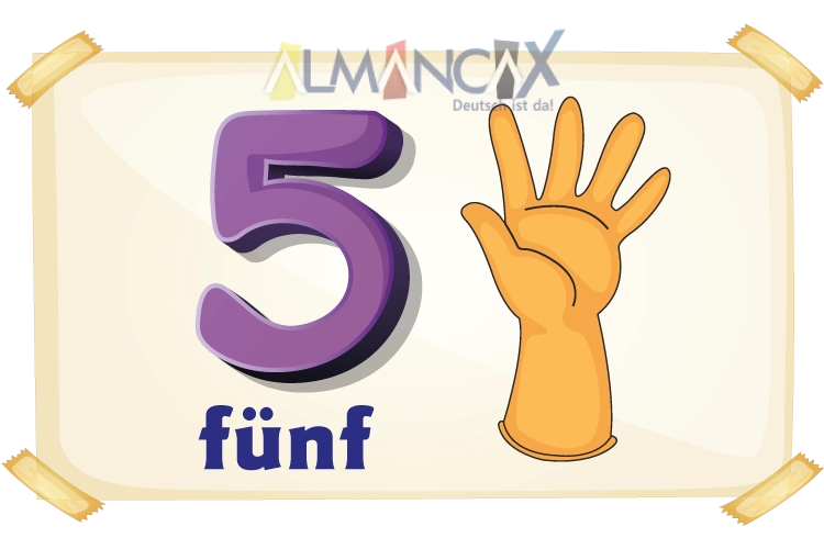 German Numbers: 5 FUNF