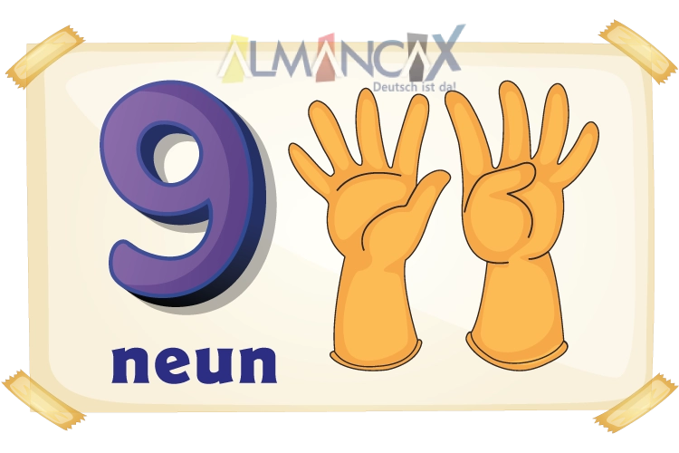 German Numbers: 9 NEUN