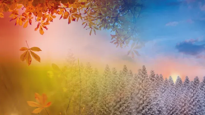 İngilizce Aylar (Months)