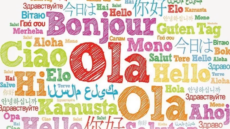 Almanca Soru Zamirleri ve W-Fragen (Soru Kelimeleri) Konu Anlatımı | Wer, Was, Wo, Wann, Warum, Wie, Welcher, Wessen, Cümle Yapısı, Tüm Soru Kelimeleri, İsmin Hallerine Göre Çekimleri