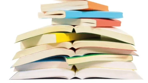 11. Sınıf Almanca Çalışma Kitabı Cevapları