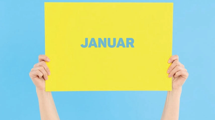 Januar ne demek