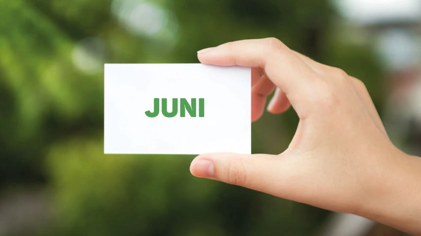 Juni ne demek